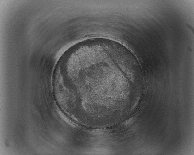 X0000100501535200807031928