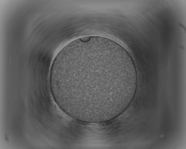 X0000100501536200807031928