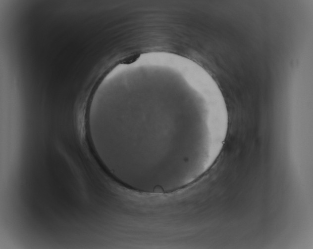 X0000100500002200807111152