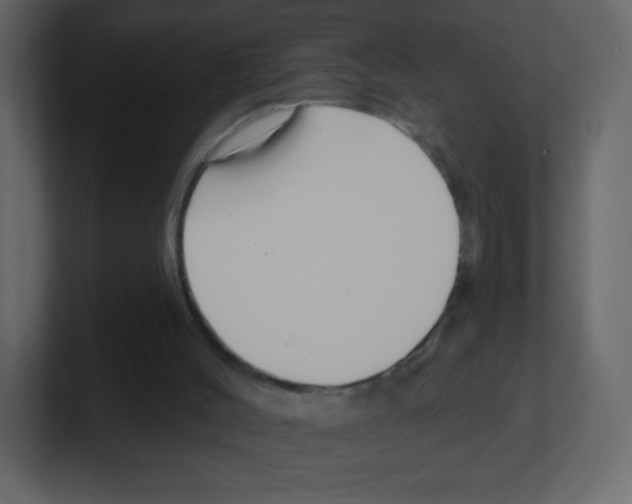 X0000100500004200807111152