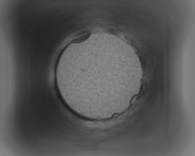 X0000100500005200807111152