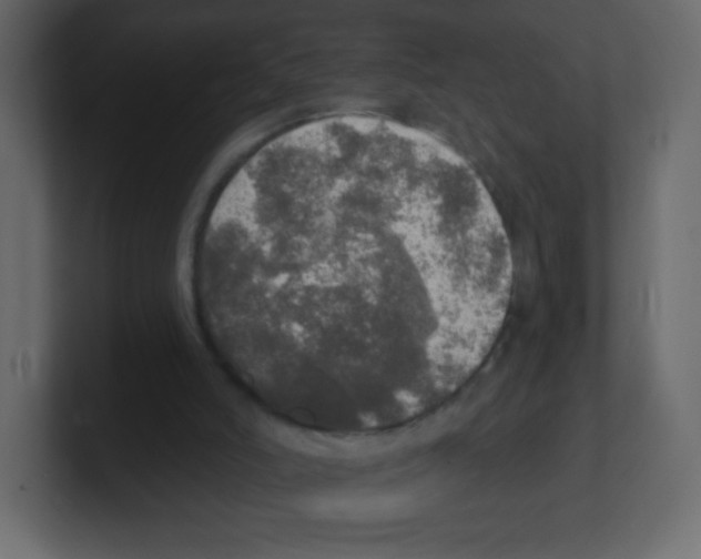 X0000100500006200807111152