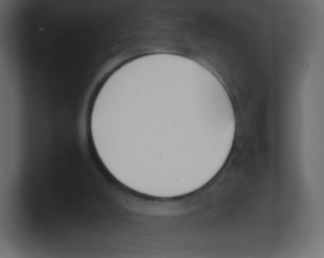 X0000100500008200807111152