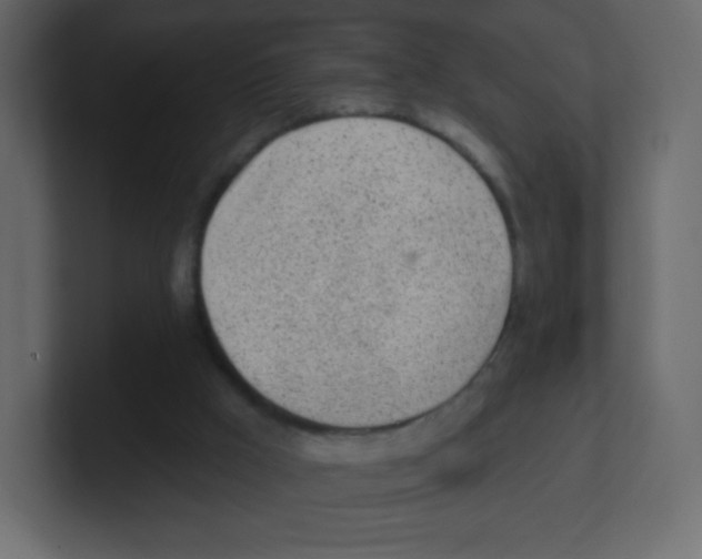 X0000100500009200807111152