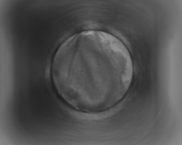 X0000100500010200807111152