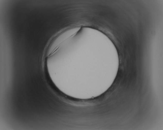 X0000100500012200807111152