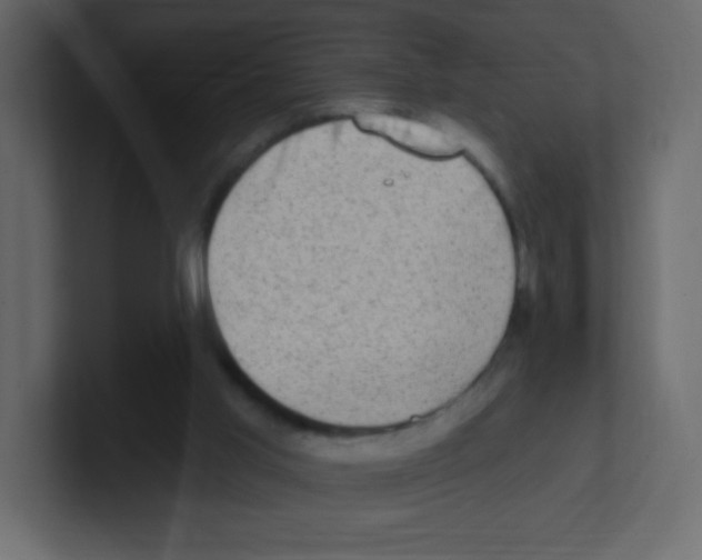 X0000100500013200807111152