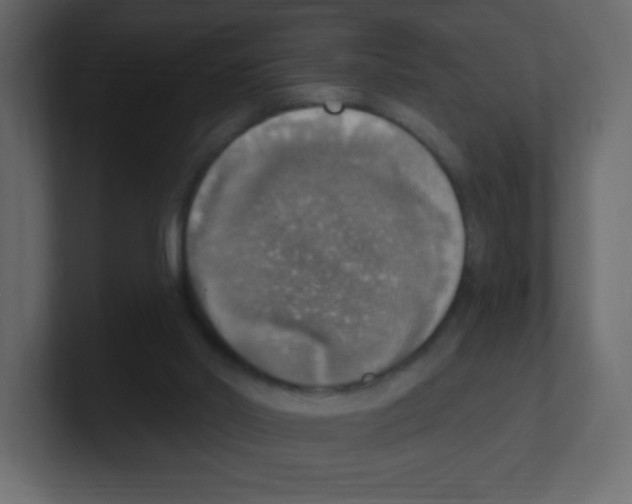 X0000100500014200807111152