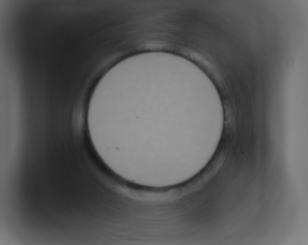 X0000100500016200807111152