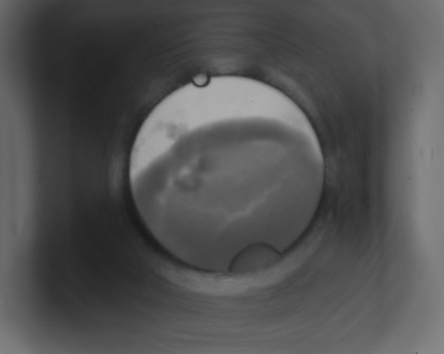 X0000100500018200807111152