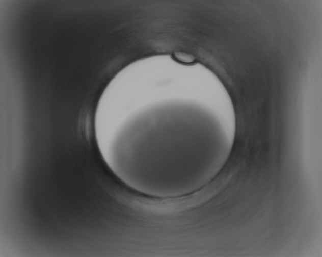 X0000100500019200807111152