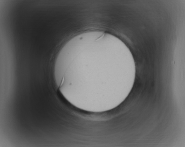 X0000100500020200807111152