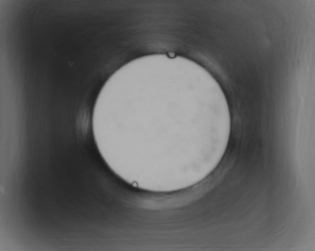 X0000100500021200807111152