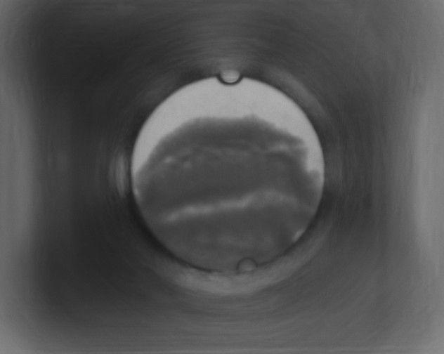 X0000100500022200807111152