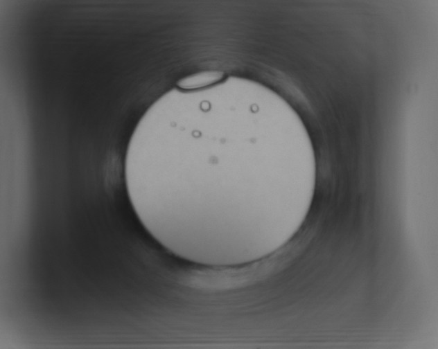 X0000100500025200807111152