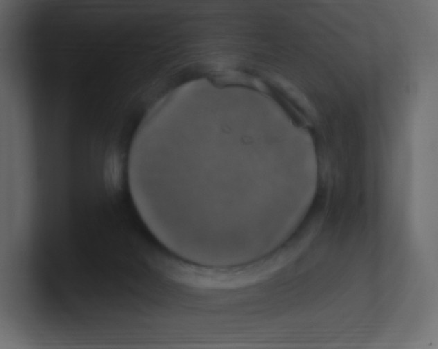 X0000100500026200807111152