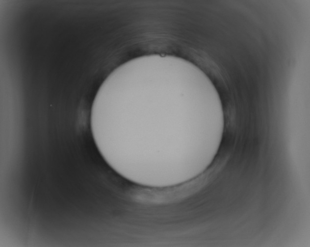 X0000100500033200807111152