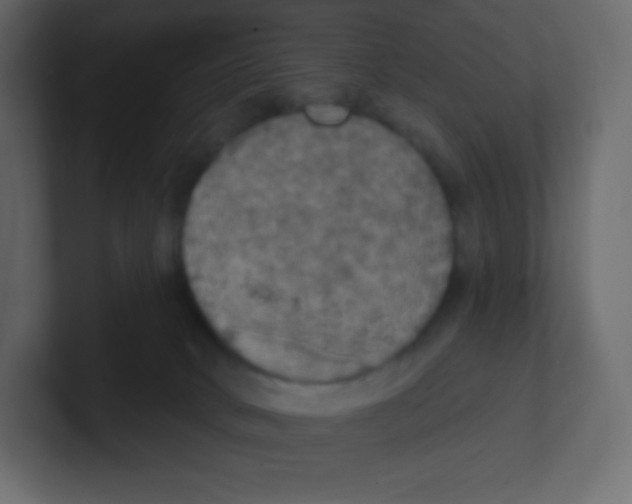 X0000100500034200807111152