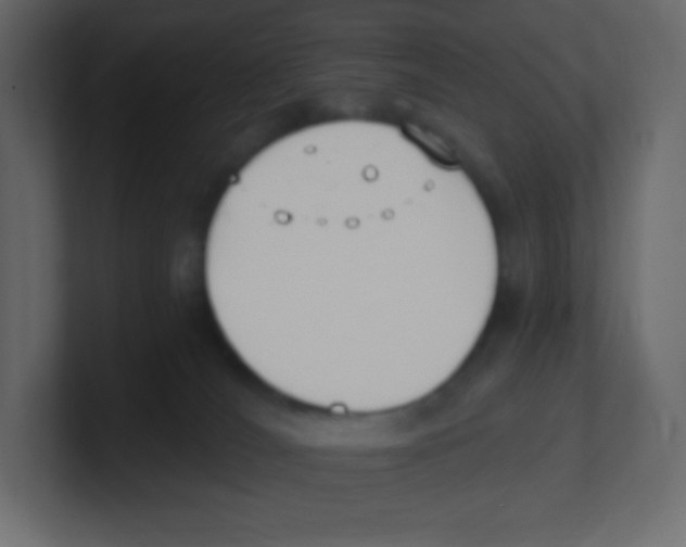 X0000100500036200807111152