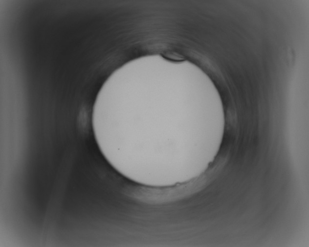 X0000100500037200807111152