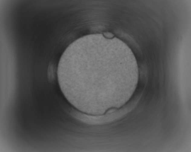 X0000100500038200807111152