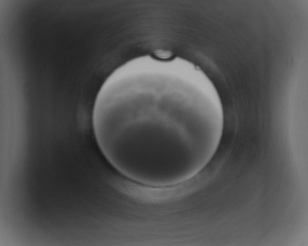 X0000100500039200807111152