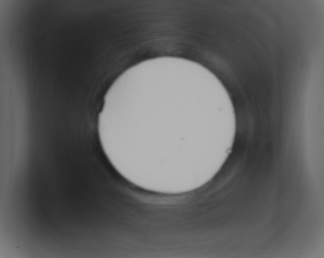 X0000100500040200807111152