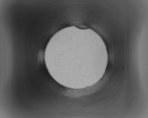 X0000100500041200807111152