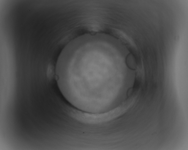 X0000100500043200807111152