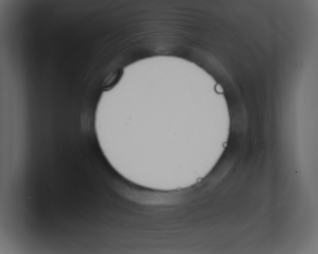 X0000100500044200807111152