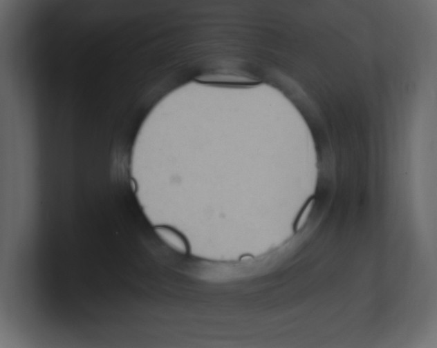 X0000100500045200807111152