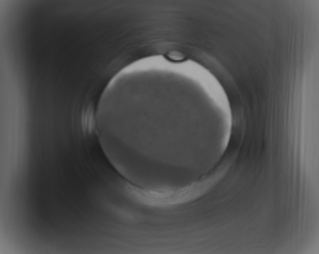 X0000100500046200807111152