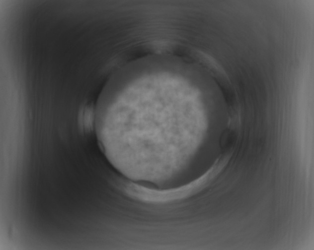 X0000100500047200807111152