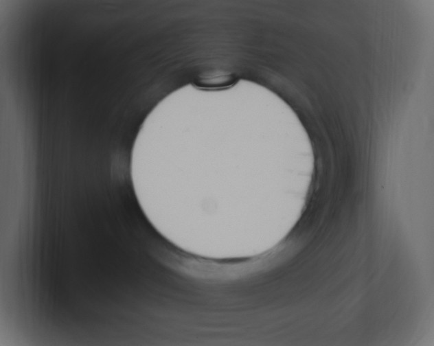 X0000100500048200807111152