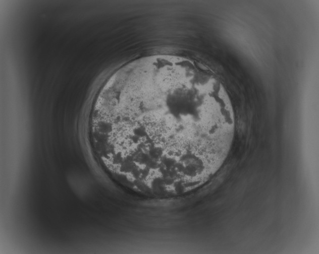 X0000100500049200807111151