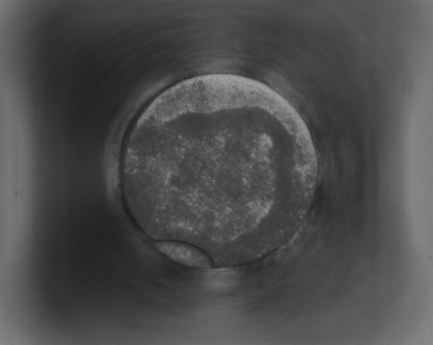 X0000100500050200807111151