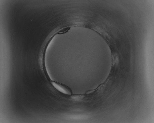 X0000100500051200807111151