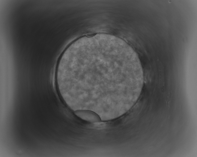 X0000100500052200807111151