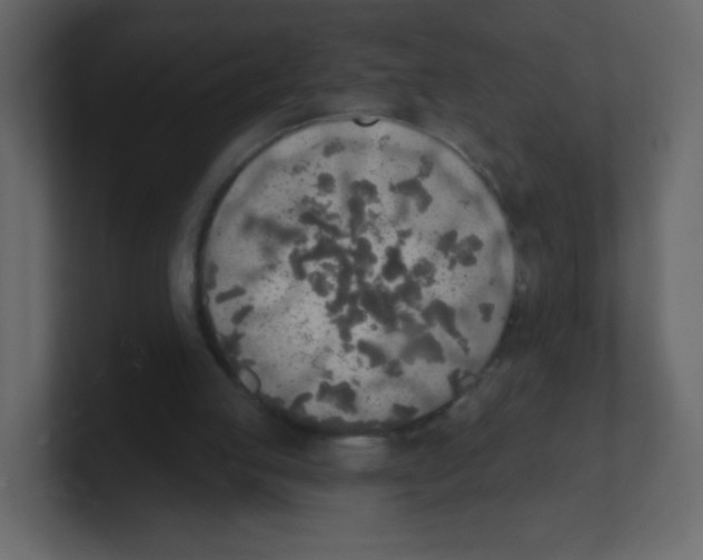 X0000100500053200807111151