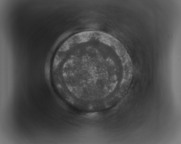 X0000100500054200807111151