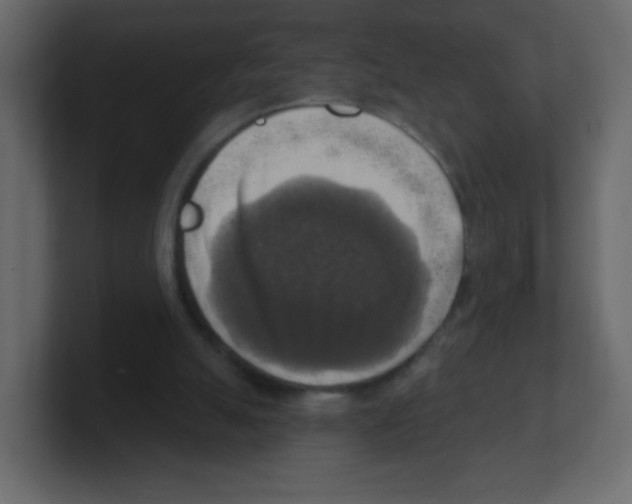 X0000100500055200807111151