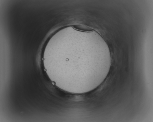 X0000100500056200807111151