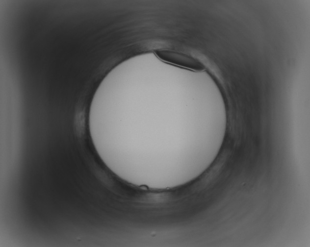 X0000100500057200807111151