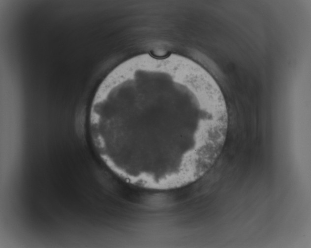 X0000100500058200807111151