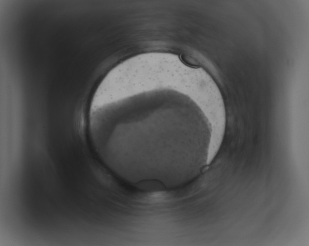 X0000100500059200807111151