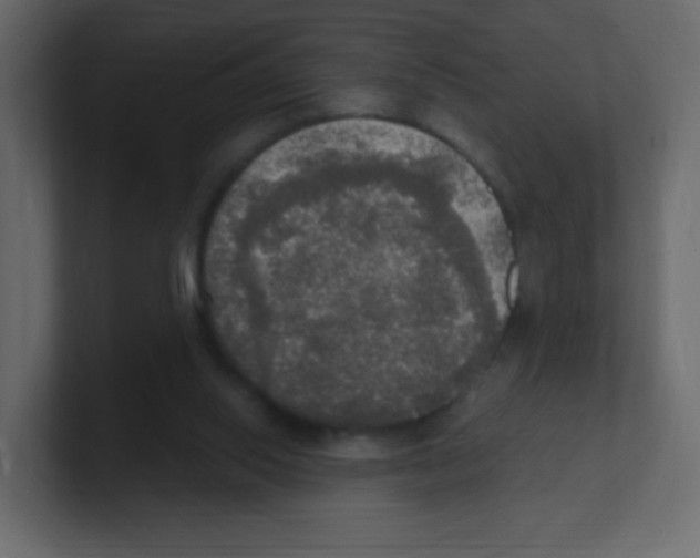 X0000100500062200807111151