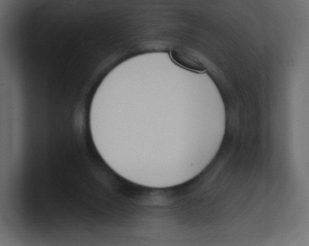 X0000100500064200807111151