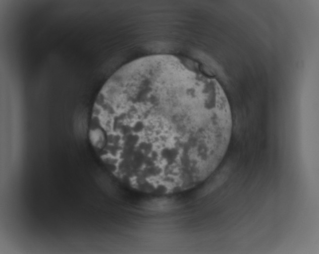 X0000100500065200807111151