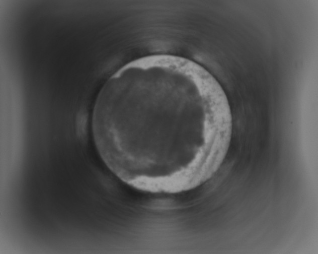 X0000100500066200807111151