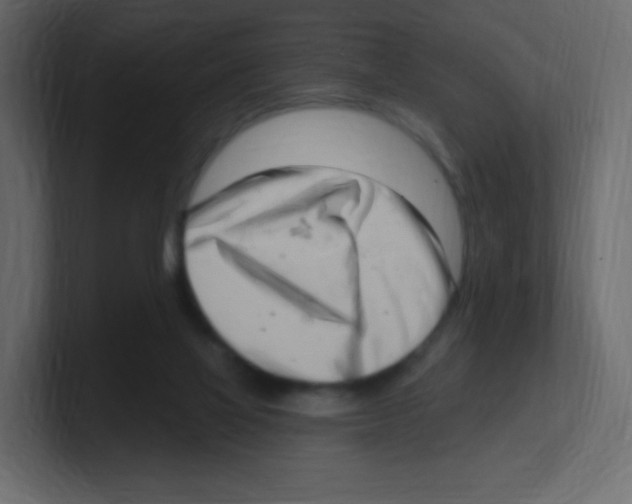 X0000100500069200807111151